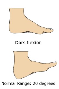 Dorsiflexion