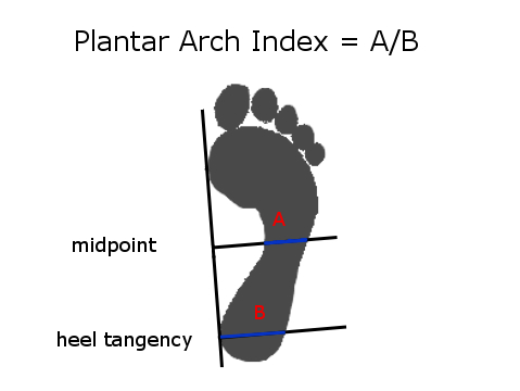 Plantar Arch Index