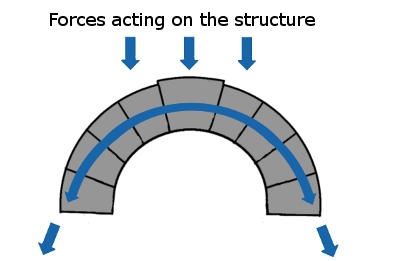 Foot Muscles Forces