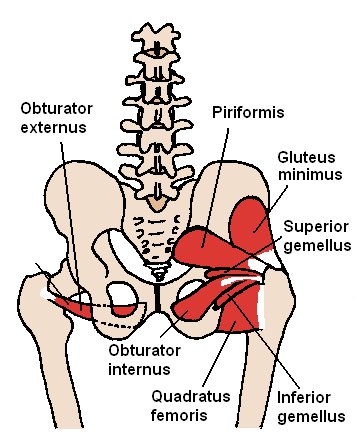 Hip Weakness and Flat Feet 2