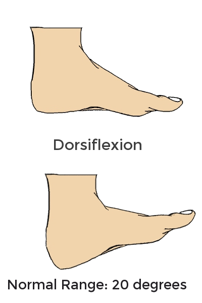 https://www.somastruct.com/wp-content/uploads/2013/03/dorsiflexion.png