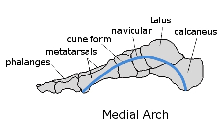 medialarch