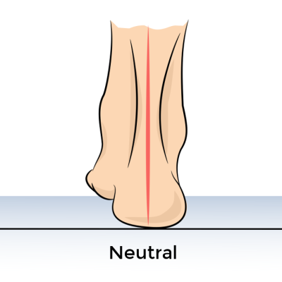 Neutral Heel Position - Somastruct
